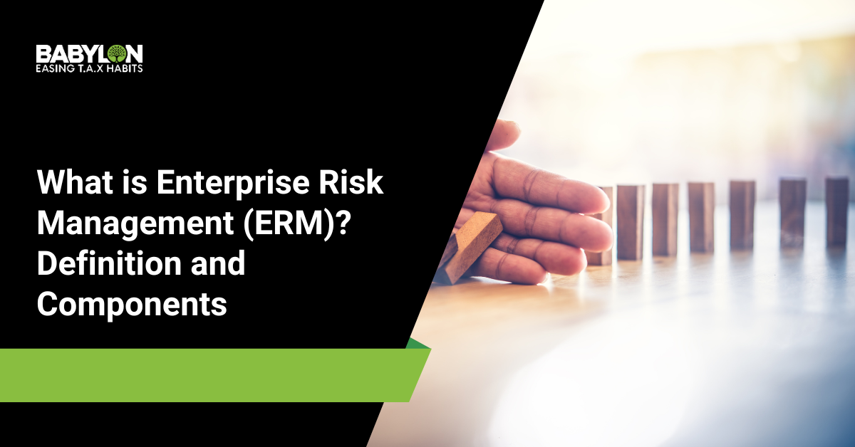 What is Enterprise Risk Management (ERM)_ Definition and Components